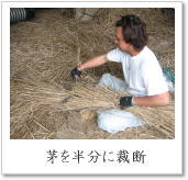 茅を半分に裁断