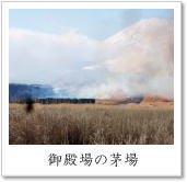 御殿場の茅場
